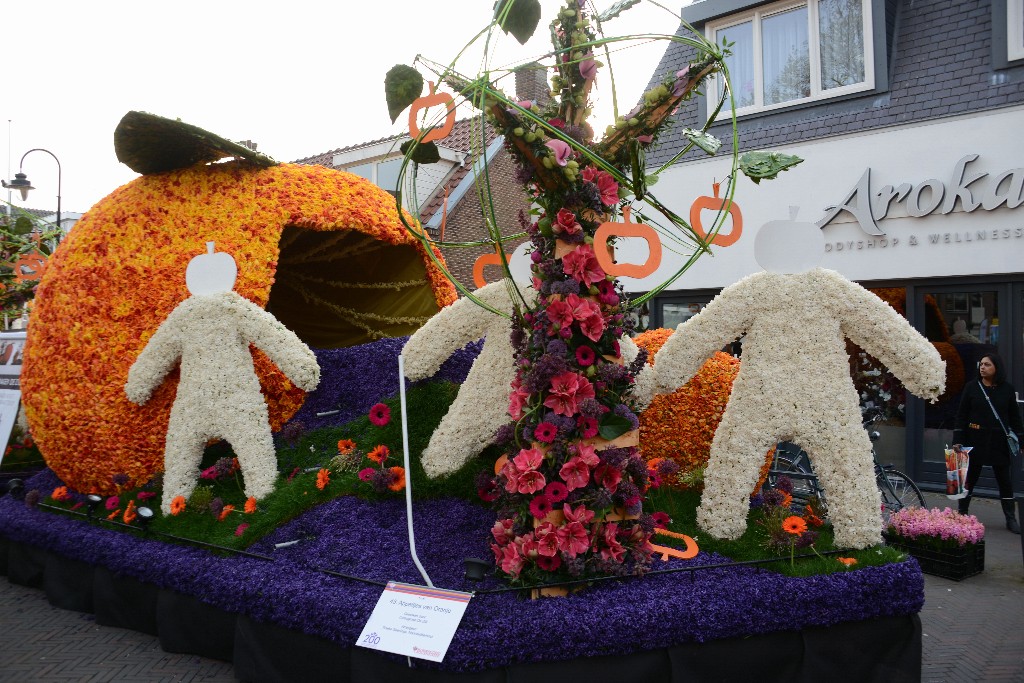 ../Images/Bloemencorso 2015 079.jpg